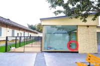 成都女子在宠物酒店被狗咬伤索赔8万 店方：太多了，不接受！