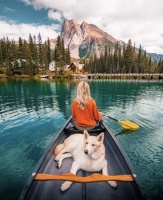 带萌宠放肆嗨！这3家宠物友好民宿，山野星空、云雾竹海全打包！