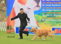 阳江楚记宠物网