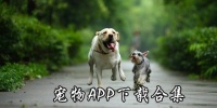 宠物app排行榜