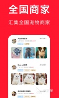 网上买宠物用什么软件 靠谱的宠物网购app大全