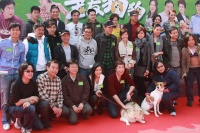 上海宠物救助站帮助流浪狗流浪猫找家