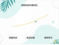 长途搬家｜长途搬家宠物怎么带走？这样搬运宠物路上不受罪！