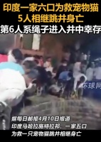 印度一家六口下井救宠物猫，五人相继井内死亡，网友吐槽：没必要