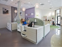 为你的宠物寻找一个温暖的家？专业宠物托管等你来！