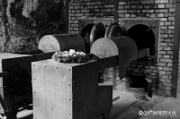 广州宠物火化流程