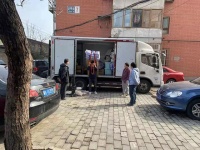 北京如何带宠物搬家？