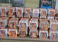 一男子带67只猫狗跨3400公里搬家，一个也不能少！