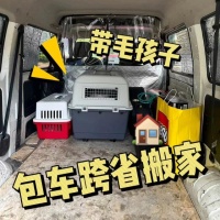 跨城跨省带宠物搬家需要注意什么？看这4点就够了！