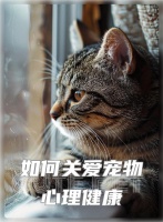 宠物也会有心理问题？如何关爱宠物的心理健康？