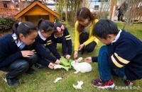 小朋友书包里掉出宠物鼠，同学们一脸淡定，老师却被吓得原地起飞