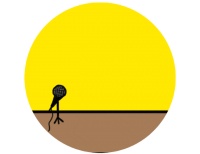 为猫猫狗狗打官司的律师：我的工作就是让伤害动物的人付出代价