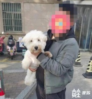 花费1.7万元网购宠物货不对板，买家告上法庭