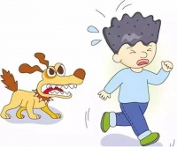 【枫桥式人民法庭】宠物狗咬伤人起纠纷 法官悉心调解促和谐