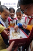 小学门口大卖宠物鼠