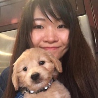 了解你的宠物兔（肢体语言篇I）