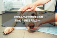 宠物兔品种宠物兔有哪些品种(宠物兔有哪些常见的品种)