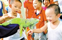 广州动物园暑假引进21种宠物蛇宠物蜥蜴