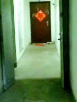 楼道惊魂！济南女子被突然冒出的“貂”咬伤，这东西哪来的？