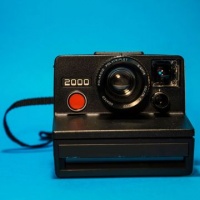 0基础养龙猫全攻略附必备...@阿迅的宠物日常的动态