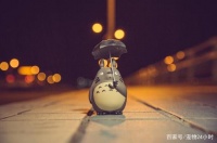 想养龙猫当作宠物吗？你对龙猫了解多少？如何饲养龙猫？