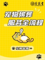 【图片】宠物殡葬服务全流程