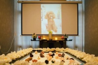 “宠物殡葬馆”：一个新兴行业的大热，让我心生无限感慨