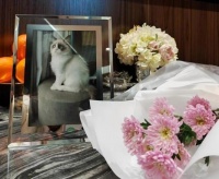 宠物殡葬业，“为爱买单”的新兴产业如何行稳致远