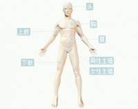 问一下,被宠物蜥蜴咬了,用打破伤风的针吗