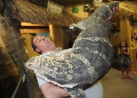 男子最爱的宠物蜥蜴，每天要喂它三斤肉食，相处画面另类的温馨