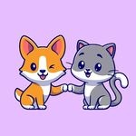 【宠物蜥蜴】变色龙