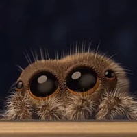 那只叫Lucas的超萌小蜘蛛，又有更新啦！