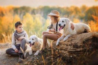 现实版的“彩虹小马”？体型和狗差不多大，主人将其带上飞机