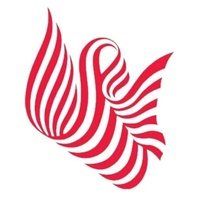 面包车里拉了一匹马，司机：我这是宠物马