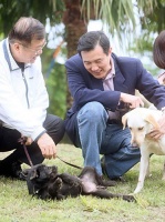 马英九赞自家宠物“马小九”一表“狗”才