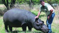 南非男子被宠物河马咬死&nbsp;兽性大发"恩将仇报"