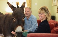 跟狗一起长大的驴爱玩爱闹爱粘人，深得主人恩宠，狗都气坏了