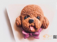 甜心宠艺宠物烘焙老师回归学校