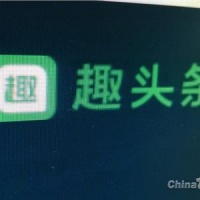 宠物生活记头条