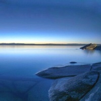 2023宠物展览会南昌10月举办【百度宠物吧】