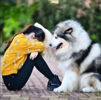 宠物本不该存在，西方堕落的文化，宠物文化必须被消灭