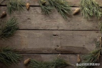 它的世界真奇妙·萌宠盛典，让每一只宠物都能找到自己的舞台