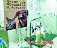 试水新模式 厦门不少宠物店推出自助洗宠服务