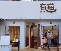 猫咖馆的商业模式解析：一步步教你如何成功运营猫咖馆！