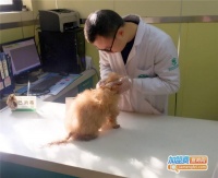 【瑞派宠物医院加盟费】瑞派宠物医院加盟要多少钱？