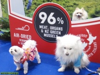 Interpets2022日本东京国际宠物展览会