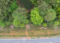 一名宠物护理员的9年：我照顾宠物，宠物也陪伴我