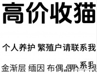 速来围观！好用又平价的宠物维生素全攻略