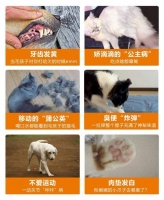 中国农科院权威发布的《宠物营养白皮书》说了些啥？