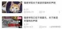爱心网红靠流浪狗得百万打赏，猫德学院濒临破产，宠物经济真奇怪